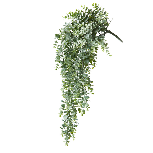 Eucalyptus Hanging Bush Grey Green 74cml