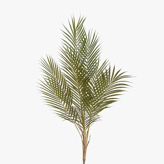 Palm Phoenix Bush Green 89cml