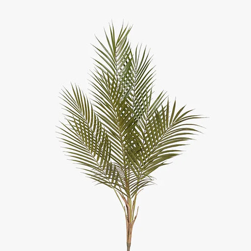 Palm Phoenix Bush Green 89cml