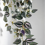 Wandering Jew Hanging Bush Dark Green 100cml – thumbnail
