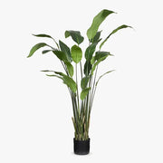 Bird of Paradise Leaf Plant Green 148cmh – thumbnail