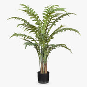Fern Hares Foot Green 105cmh – thumbnail