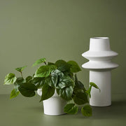 Philodendron in Pot Green 19cmh – thumbnail
