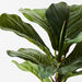 Fiddle Leaf Plant Green 30cmh