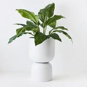 Spathiphyllum Leaf Plant Green 63cmh – thumbnail
