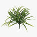 Grass Vanilla Bush Green White 30cml