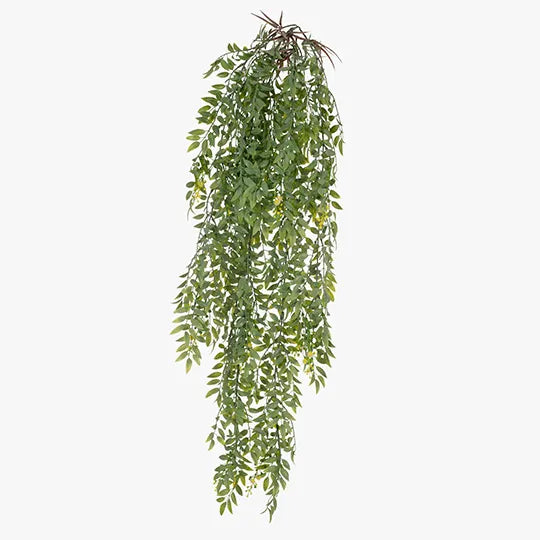 Wattle Hanging Bush Yellow 72cml