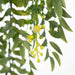 Wattle Hanging Bush Yellow 72cml
