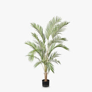 Palm Phoenix Tree Green 145cmh – thumbnail