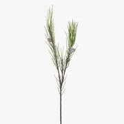 Needle Pine Cone Spray Natural 91cml – thumbnail