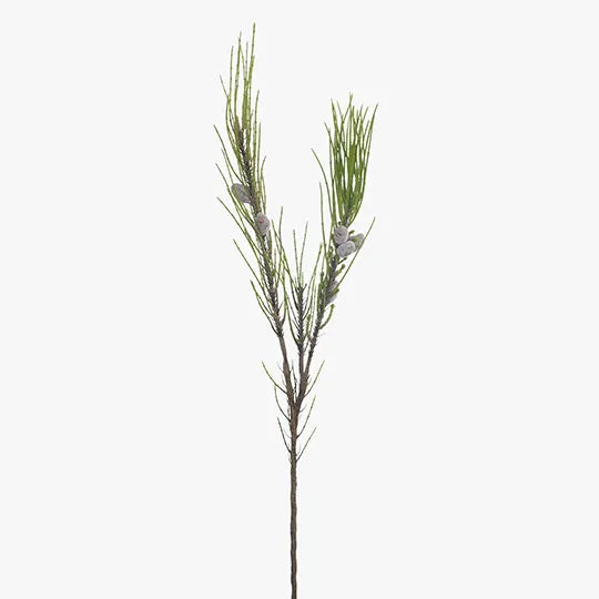 Needle Pine Cone Spray Natural 91cml