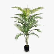 Palm Parlour Green 126cmh – thumbnail
