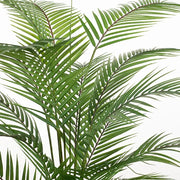 Palm Parlour Green 126cmh – thumbnail