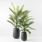 Palm Parlour Green 126cmh – thumbnail