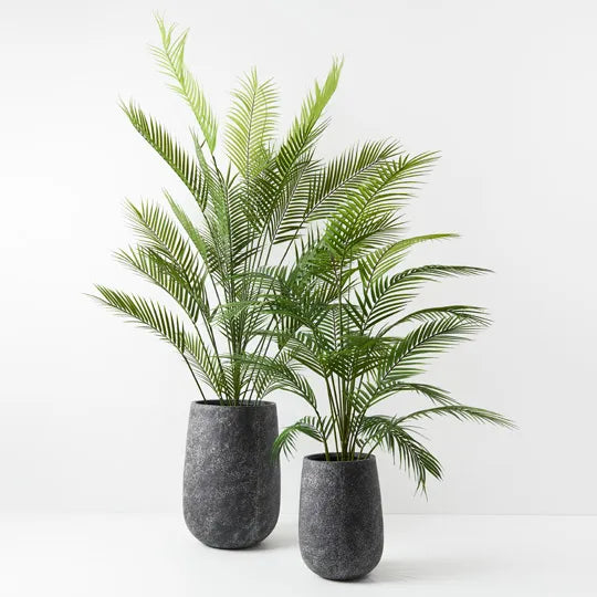 Palm Parlour Green 126cmh