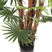 Palm Fan Plant Green 168cmh – thumbnail