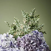 Seed Spray Green Pink 64cml