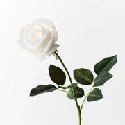 Rose Yvie Winter White 65cml