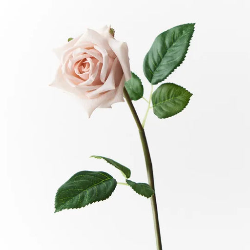 Rose Lola Soft Pink 46cml x 7.5cmd