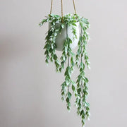 Ruscus Hanging Bush in Pot Green White 73cml – thumbnail
