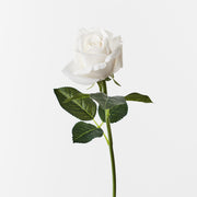 Rosebud Open Bella Winter White 38cml – thumbnail