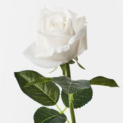 Rosebud Open Bella Winter White 38cml – thumbnail