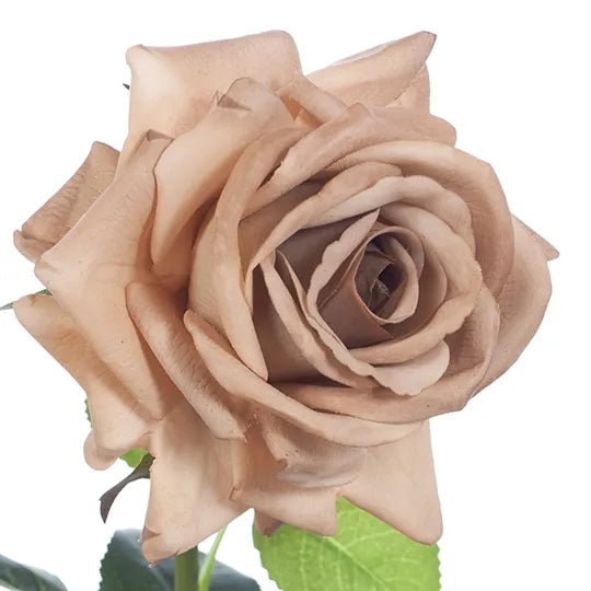 Rose Hannah Coffee 75cml