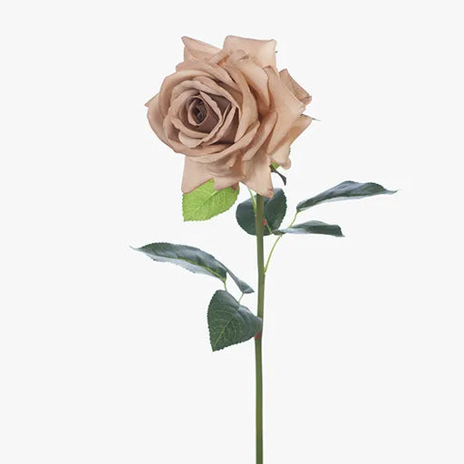 Rose Hannah Coffee 75cml