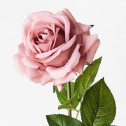 Rose Hannah Dusty Pink 75cml