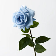Rose Hannah Ice Blue 75cml – thumbnail