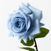 Rose Hannah Ice Blue 75cml – thumbnail
