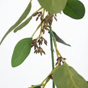 Eucalyptus Seed Garland Green 174cml