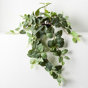 Wandering Jew Hanging Bush in Pot Green 52cml – thumbnail