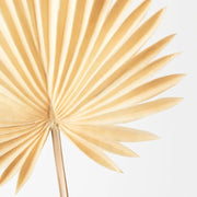 Palm Fan Butter Cream 66cml