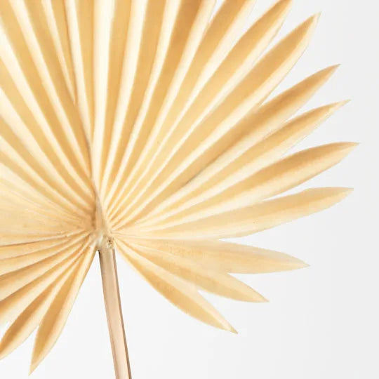 Palm Fan Butter Cream 66cml