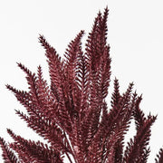 Sorghum Spray Burgundy 76cml