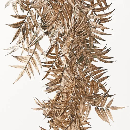 Palm Areca Hanging Bush Husk 74cml