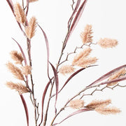 Dogtail Grass Spray Toffee 81cml