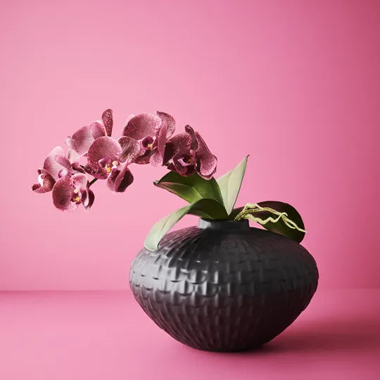 Orchid Phalaenopsis Spray Burgundy 92cml