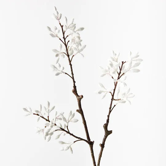 Simplex Seed Spray White 70cml