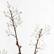 Simplex Seed Spray White 70cml