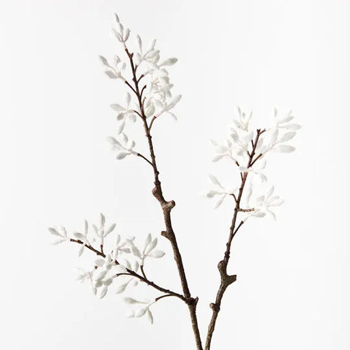 Simplex Seed Spray White 70cml