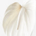 Anthurium Winter White 74cml