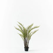 Fern Mountain Plant Green 117cmh – thumbnail