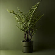 Fern Mountain Plant Green 117cmh – thumbnail