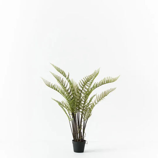 Fern Mountain Plant Green 117cmh