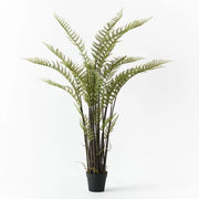 Fern Mountain Plant Green 181cmh – thumbnail