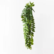 Locust Honey Hanging Bush Green 86cml – thumbnail
