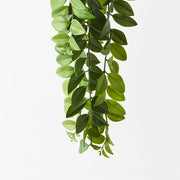Locust Honey Hanging Bush Green 86cml – thumbnail