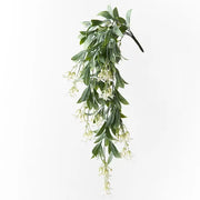 Stephanotis Hanging Bush White 74cml – thumbnail